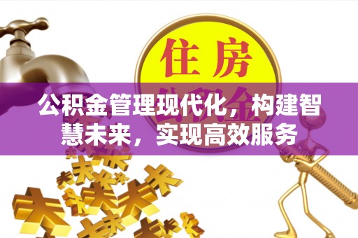 龙圩公积金管理现代化，构建智慧未来，实现高效服务