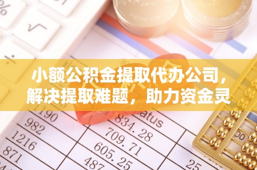 龙圩小额公积金提取代办公司，解决提取难题，助力资金灵活使用