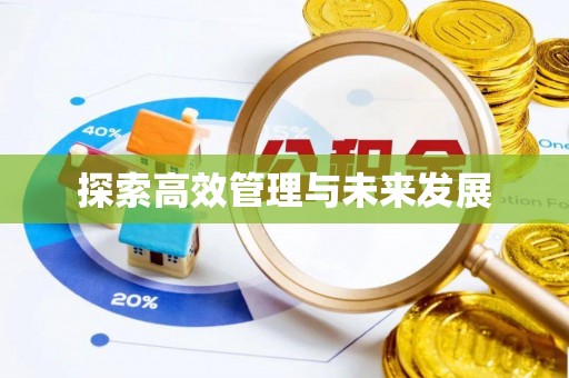 龙圩探索高效管理与未来发展