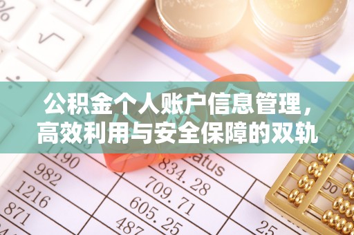 龙圩公积金个人账户信息管理，高效利用与安全保障的双轨并行