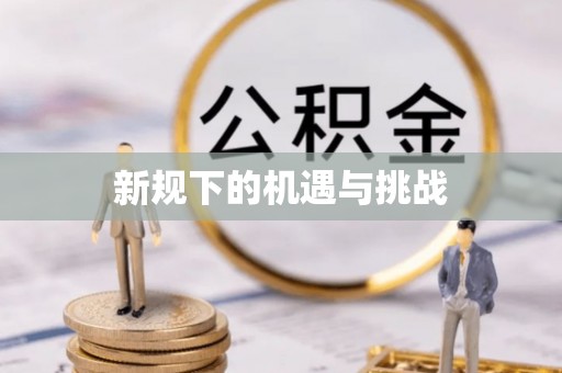 龙圩新规下的机遇与挑战