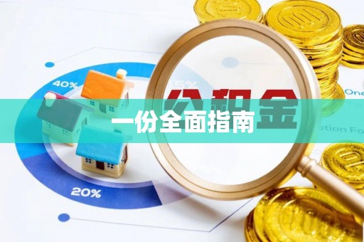 龙圩一份全面指南