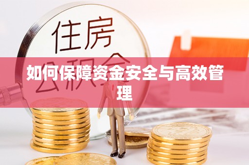 龙圩如何保障资金安全与高效管理