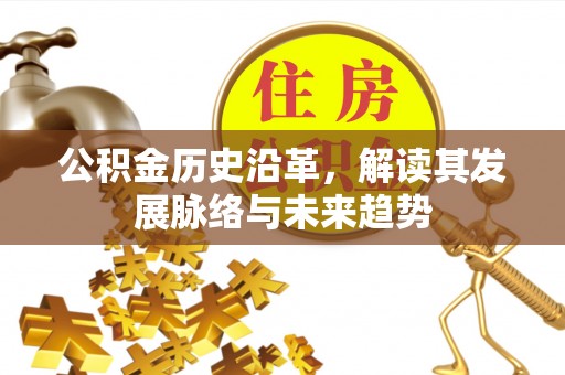 龙圩公积金历史沿革，解读其发展脉络与未来趋势