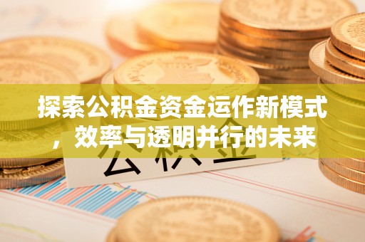 龙圩探索公积金资金运作新模式，效率与透明并行的未来