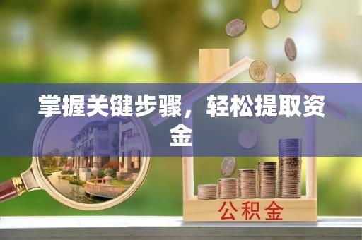 龙圩掌握关键步骤，轻松提取资金