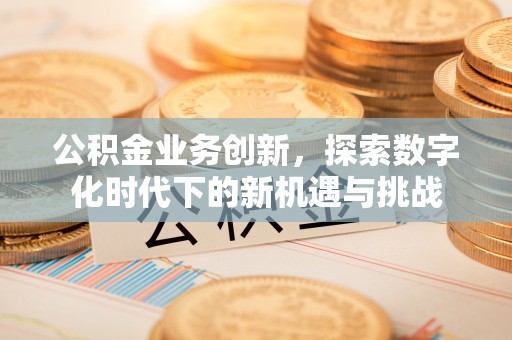 龙圩公积金业务创新，探索数字化时代下的新机遇与挑战