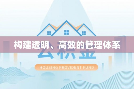 龙圩构建透明、高效的管理体系