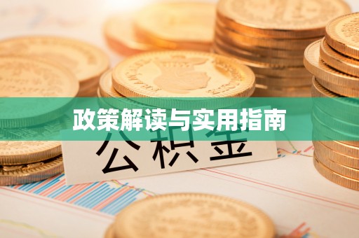 龙圩政策解读与实用指南