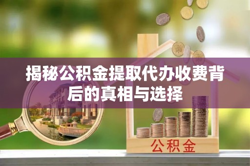龙圩揭秘公积金提取代办收费背后的真相与选择