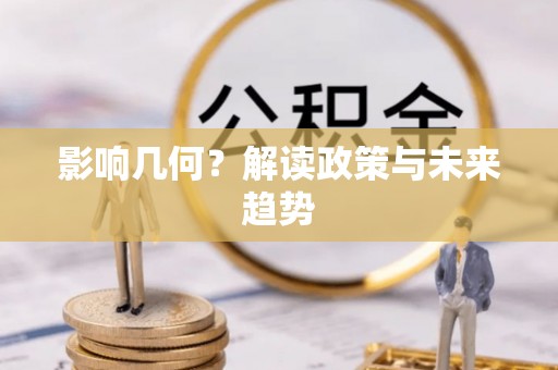 龙圩影响几何？解读政策与未来趋势