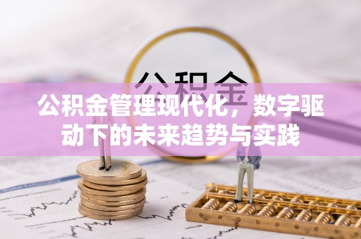 龙圩公积金管理现代化，数字驱动下的未来趋势与实践