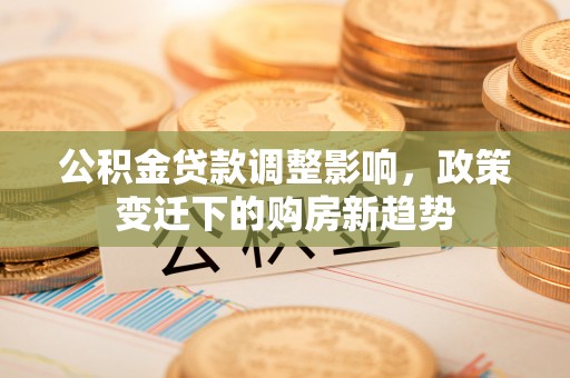 龙圩公积金贷款调整影响，政策变迁下的购房新趋势