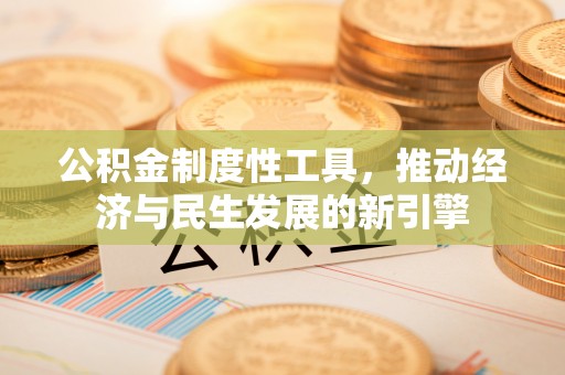 龙圩公积金制度性工具，推动经济与民生发展的新引擎