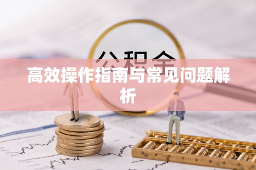 龙圩高效操作指南与常见问题解析
