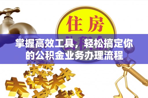 龙圩掌握高效工具，轻松搞定你的公积金业务办理流程