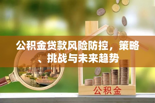 龙圩公积金贷款风险防控，策略、挑战与未来趋势