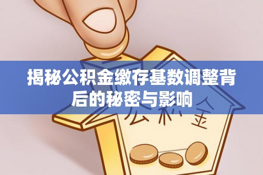 龙圩揭秘公积金缴存基数调整背后的秘密与影响