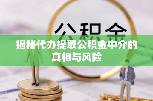 龙圩揭秘代办提取公积金中介的真相与风险