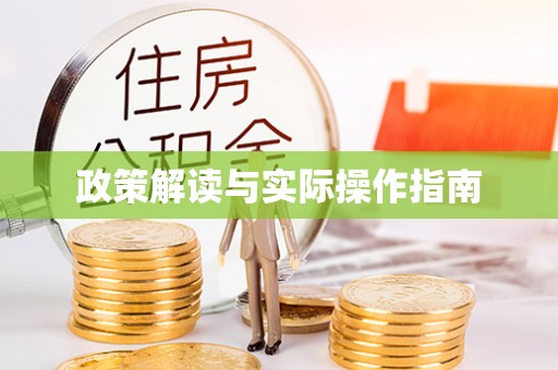 龙圩政策解读与实际操作指南