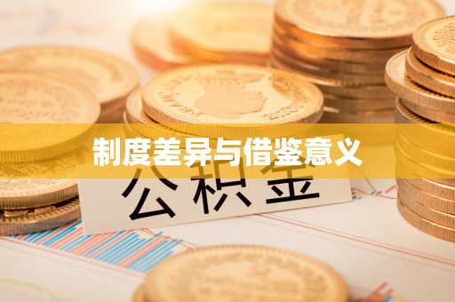 龙圩制度差异与借鉴意义