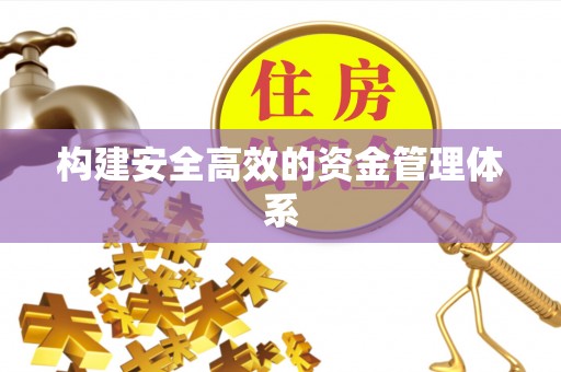 龙圩构建安全高效的资金管理体系