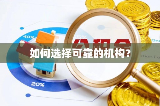 龙圩如何选择可靠的机构？