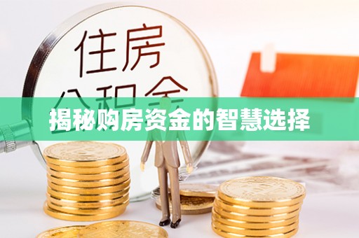 龙圩揭秘购房资金的智慧选择