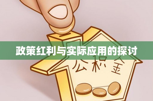 龙圩政策红利与实际应用的探讨