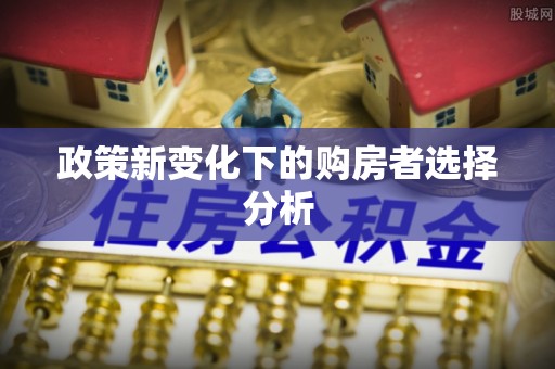 龙圩政策新变化下的购房者选择分析