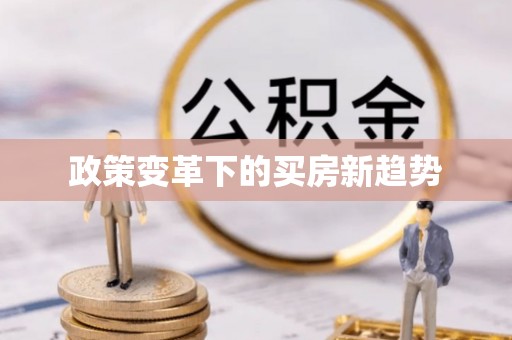 龙圩政策变革下的买房新趋势