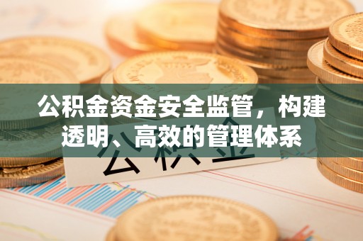龙圩公积金资金安全监管，构建透明、高效的管理体系