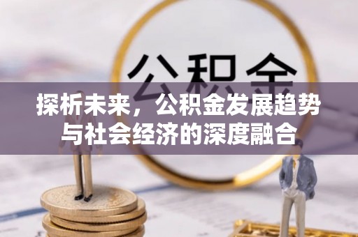 龙圩探析未来，公积金发展趋势与社会经济的深度融合