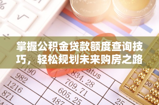 龙圩掌握公积金贷款额度查询技巧，轻松规划未来购房之路