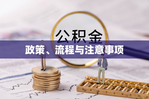 龙圩政策、流程与注意事项