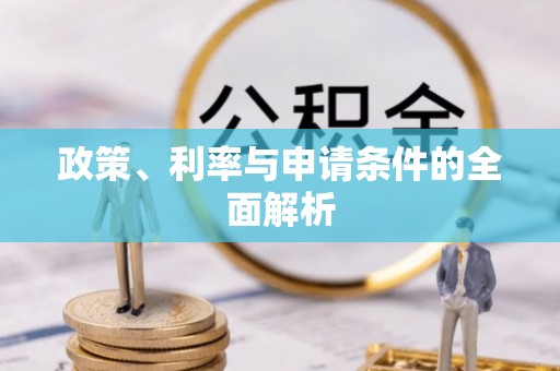 龙圩政策、利率与申请条件的全面解析