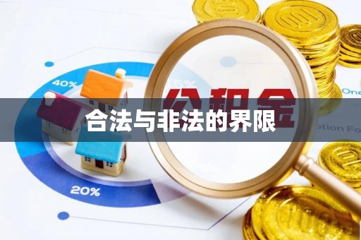 龙圩合法与非法的界限