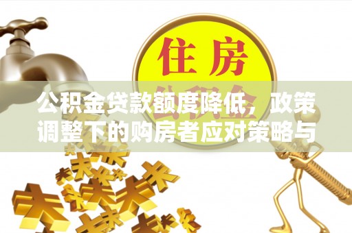 龙圩公积金贷款额度降低，政策调整下的购房者应对策略与未来趋势