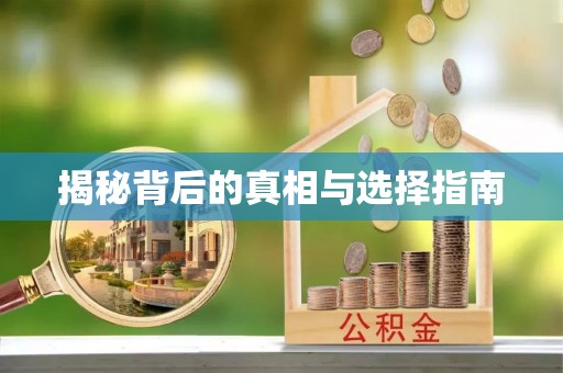 龙圩揭秘背后的真相与选择指南