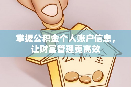 龙圩掌握公积金个人账户信息，让财富管理更高效