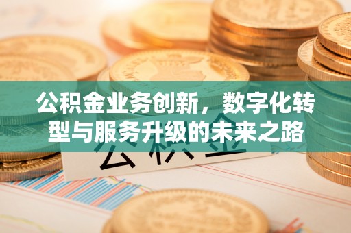 龙圩公积金业务创新，数字化转型与服务升级的未来之路