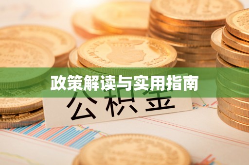 龙圩政策解读与实用指南