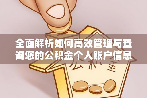 龙圩全面解析如何高效管理与查询您的公积金个人账户信息