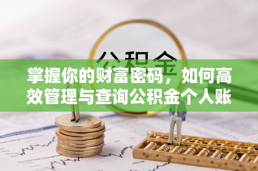 龙圩掌握你的财富密码，如何高效管理与查询公积金个人账户信息