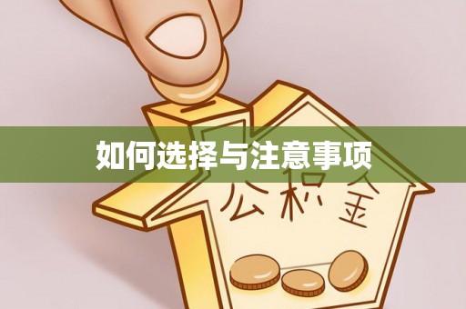 龙圩如何选择与注意事项