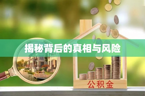 龙圩揭秘背后的真相与风险