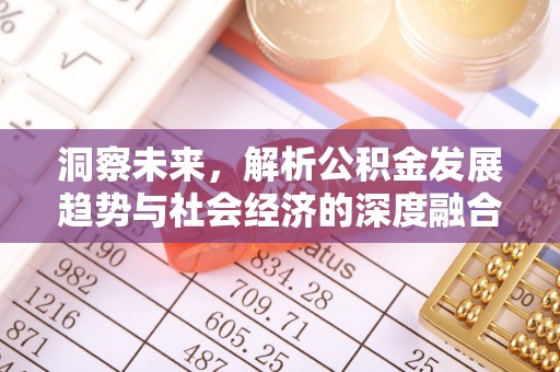 龙圩洞察未来，解析公积金发展趋势与社会经济的深度融合