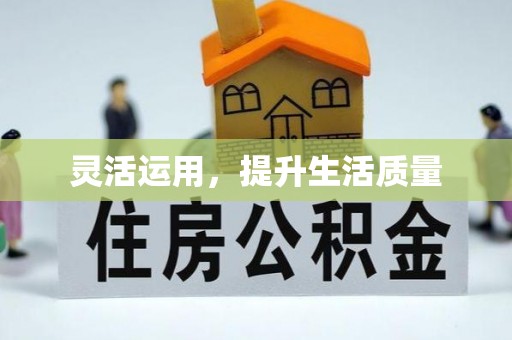 龙圩灵活运用，提升生活质量