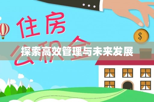 龙圩探索高效管理与未来发展