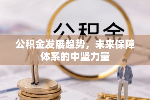 龙圩公积金发展趋势，未来保障体系的中坚力量